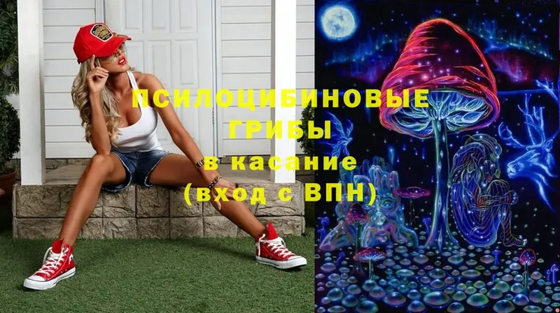 Псилоцибиновые грибы Magic Shrooms  Певек 